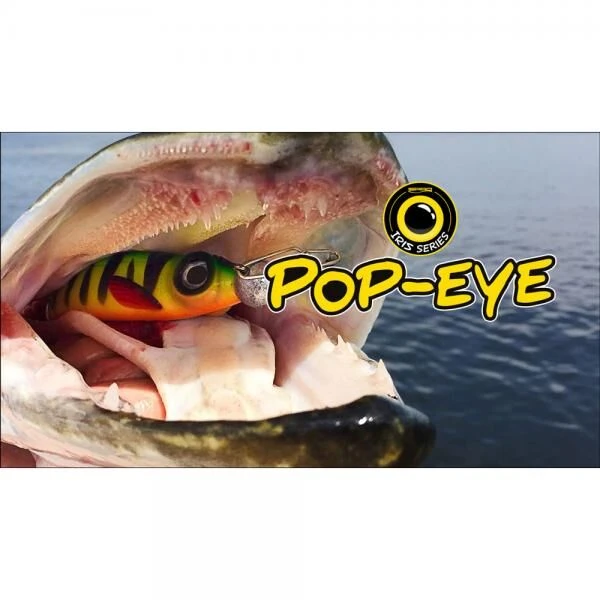 Spro Iris Pop-Eye 20cm 2 Spro Iris Pop-Eye 20cm - Afbeelding 2