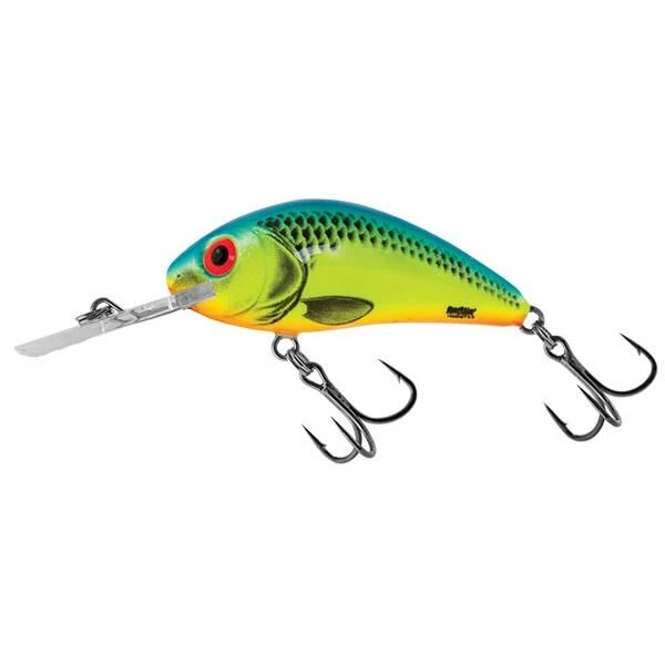 Salmo Rattlin Hornet 6.5cm Floating 4 Salmo Rattlin Hornet 6.5cm Floating - Afbeelding 4